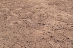 PHOTO-2019-03-09-19-06-14