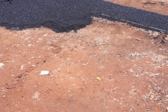 PHOTO-2019-03-17-07-14-40_1