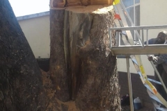 PHOTO-2019-03-15-12-47-55_1