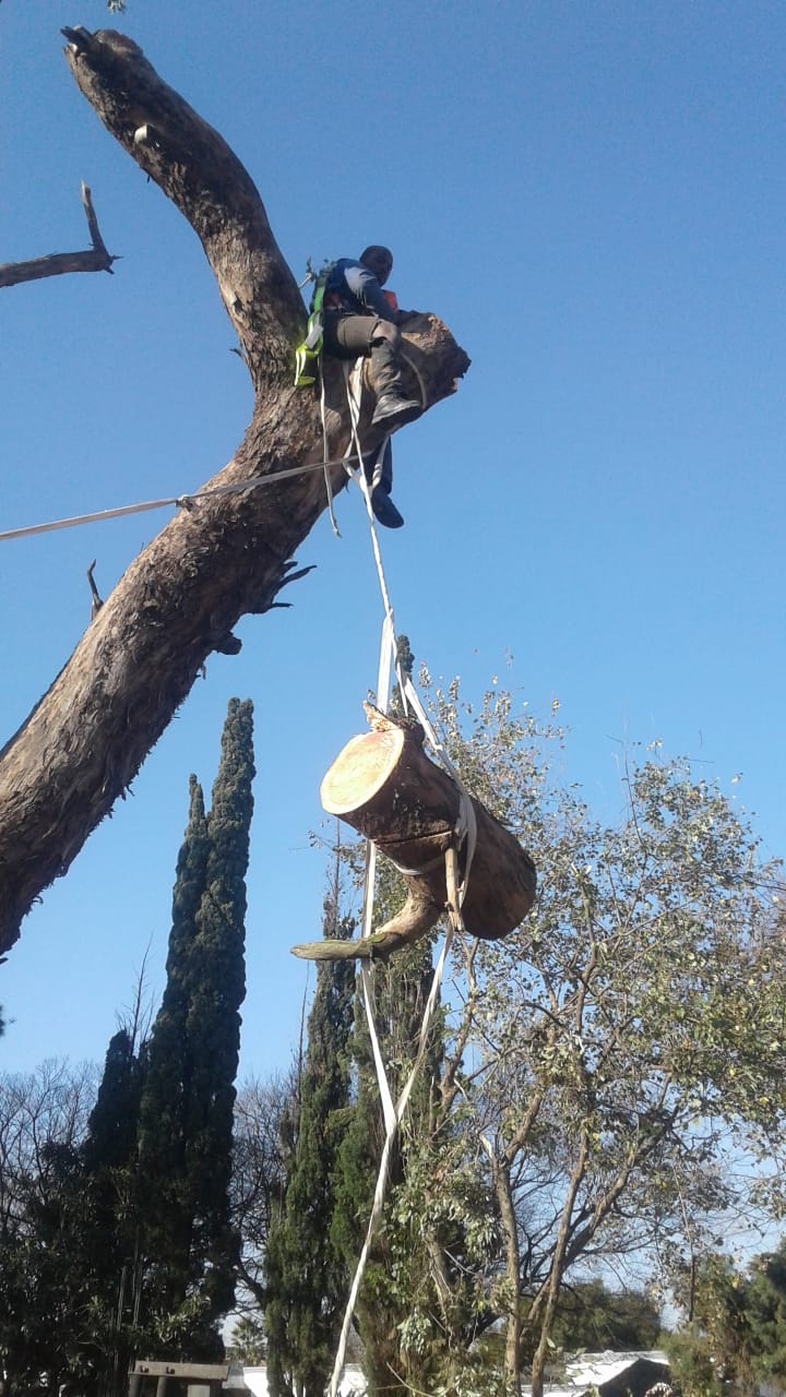 PHOTO-2019-03-15-12-47-55