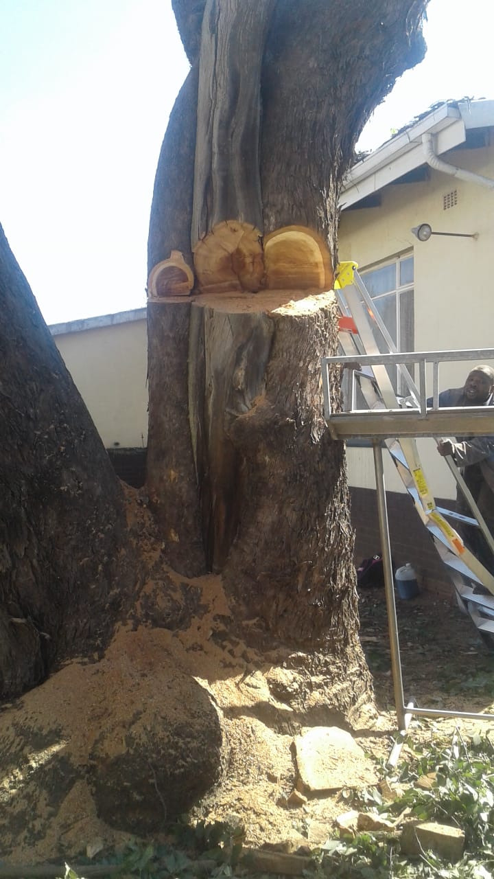 PHOTO-2019-03-15-12-47-55_1