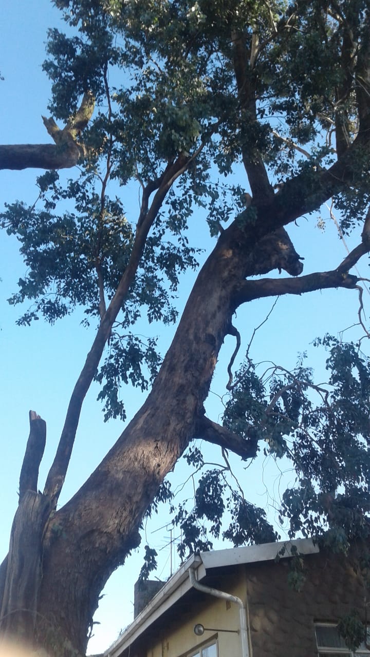 PHOTO-2019-03-15-12-47-56