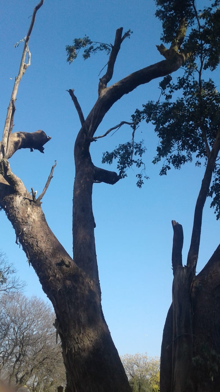 PHOTO-2019-03-15-12-47-56_1