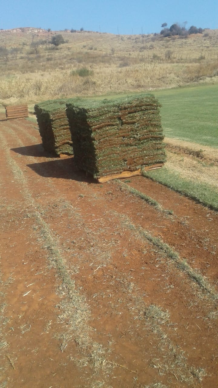 PHOTO-2019-03-15-12-52-47