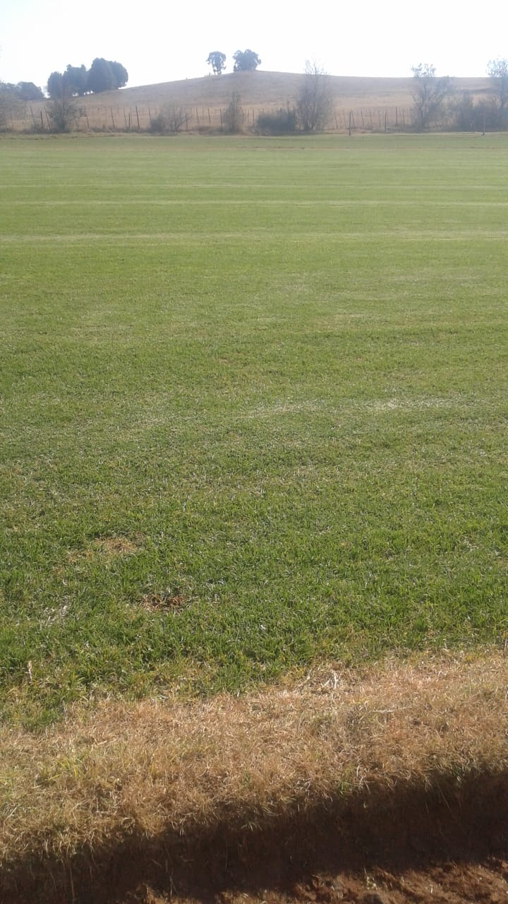 PHOTO-2019-03-15-12-52-47_1